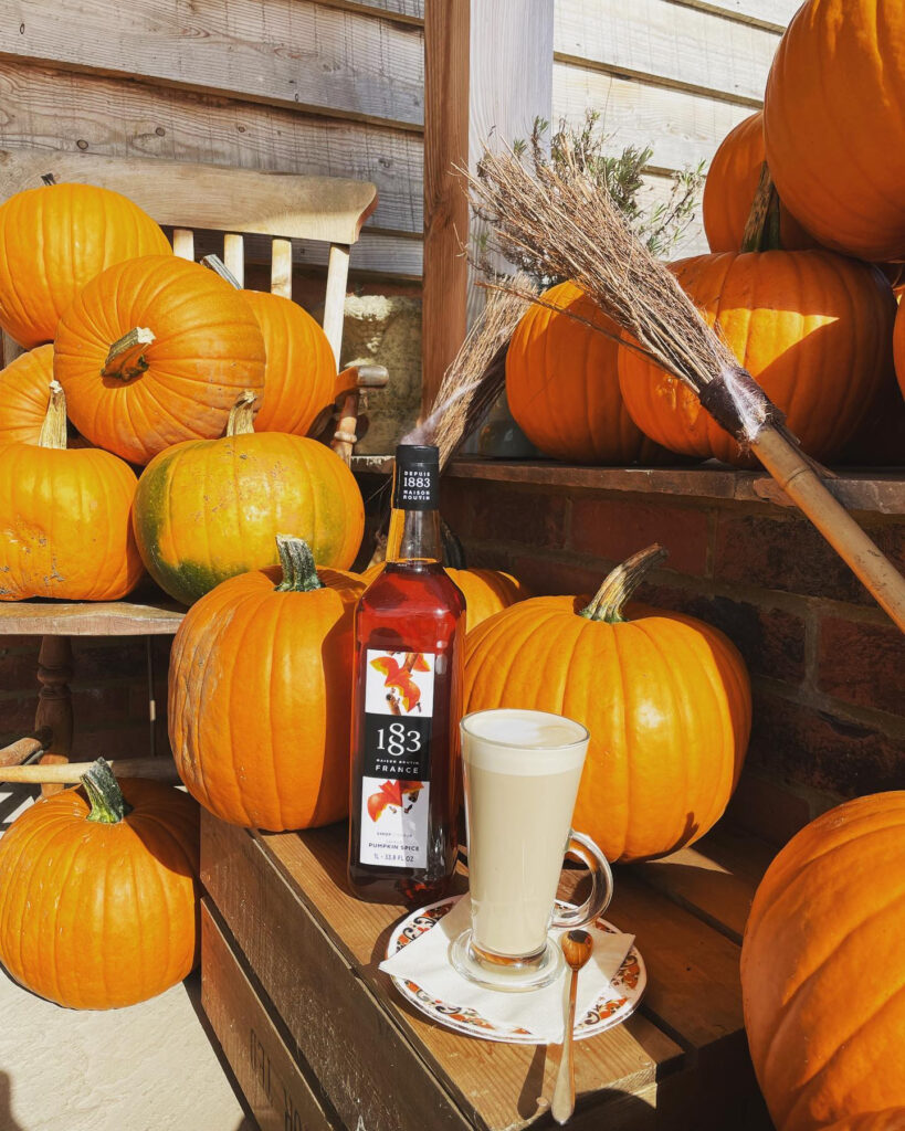 Spiced Pumpkin Latte (seasonal)