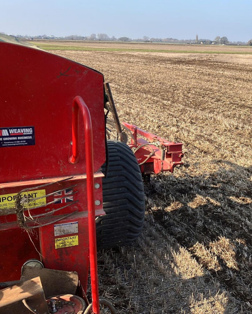 spring cultivation