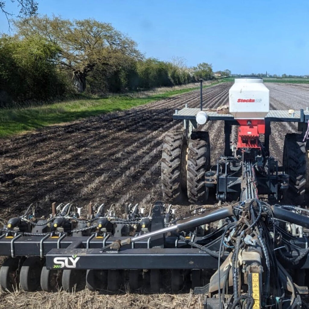 Beet Drilling